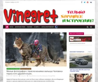 Vinegred.ru(Винегрет) Screenshot