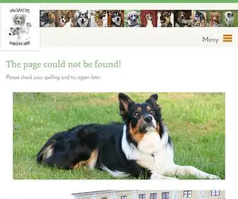 Vingakershundklubb.se(Välkommen till Vingåkers Hundklubbs hemsida alla mattar och hussar med hundar av alla storlekar och sorter) Screenshot