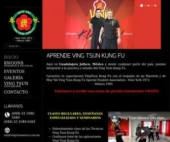 Vingtsunmexico.com(Ving Tsun M) Screenshot