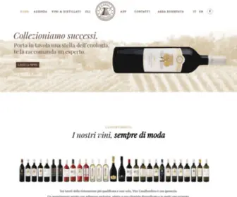 Vinicasalbordino.com(Serietà e professionalità nell’elaborazione di vini con pregiate caratteristiche organolettiche) Screenshot