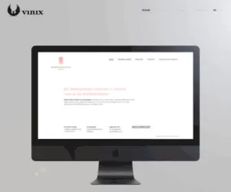 Vinix.be(Graphic design agency Antwerpen) Screenshot