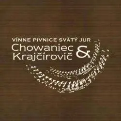 Vinnepivnice.sk Logo