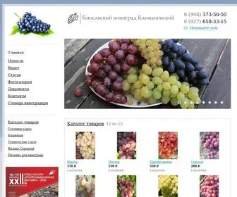 Vinograd-Kinel.ru(Климановский виноград) Screenshot