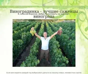 Vinogradinka.top(лучшие) Screenshot