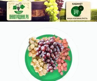 Vinogradnic.ru(Купить саженцы винограда из питомника) Screenshot