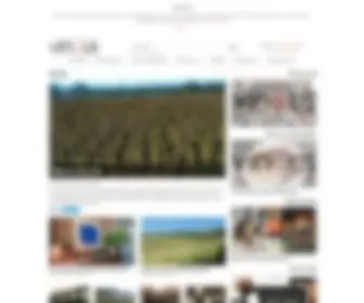 Vinous.com(Antonio Galloni presents Vinous) Screenshot