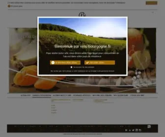 Vins-Bourgogne.fr(Vins de Bourgogne) Screenshot