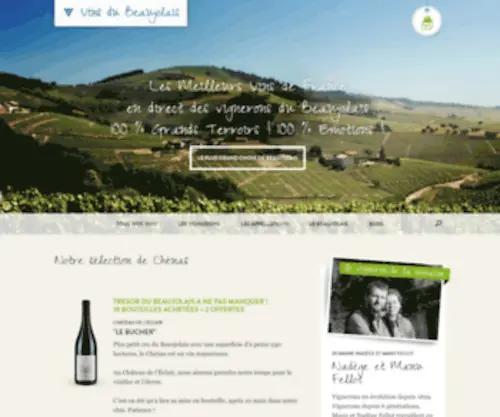Vins-DU-Beaujolais.com(Vins du Beaujolais AOC) Screenshot