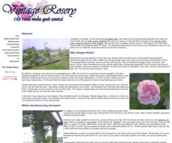 Vintagerosery.com(Antique Roses from The Vintage Rosery) Screenshot