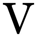 Vinylian.com Favicon