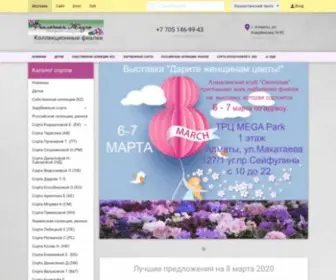 Violet-Life.com(Violet Life) Screenshot