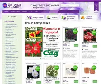 Violet.kiev.ua(Цветочная лавка) Screenshot