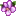 Violets.in Favicon