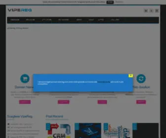 Vipereg.com(Web hosting registrazione trasferimento dominio) Screenshot