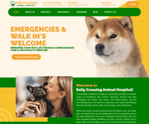 Vipetvet.com(Veterinarian Fort Myers) Screenshot