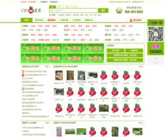 VipVeg.com(VIP蔬菜网) Screenshot