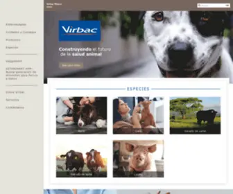 Virbac.com.mx(Virbac México) Screenshot