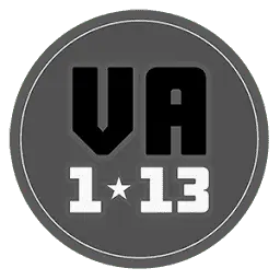 Virginia113.com Favicon