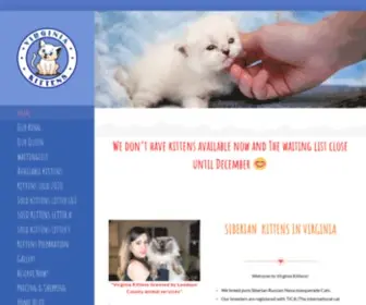 Virginiakittens.com(Siberian Cats in Virginia) Screenshot