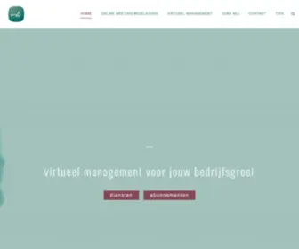 Virtualbusinesspartner.nl(Virtueel management) Screenshot