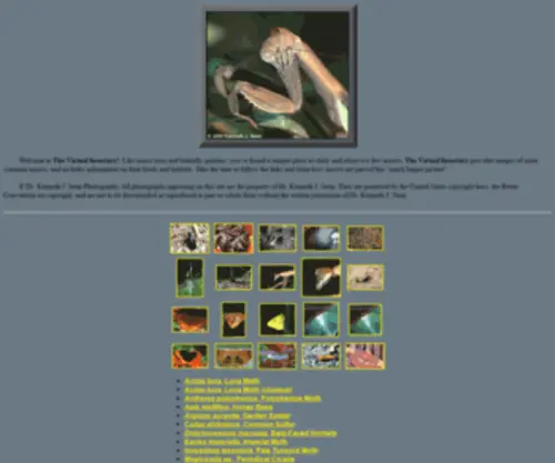 Virtualinsectary.com(EarthLink) Screenshot