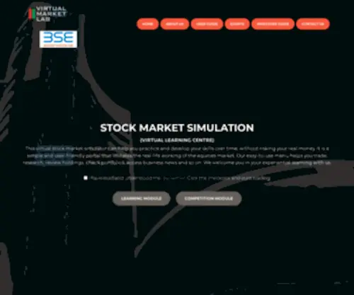 Virtualmarketlab.com(Virtual Market Lab) Screenshot