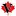 Visalink.ca Favicon