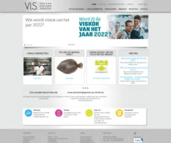 Visinfo.be(Visinfo) Screenshot