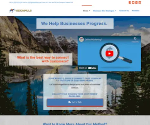 Visionmule.com(We specialize in business website design) Screenshot