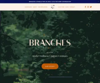 Visitbranches.com(Branches) Screenshot