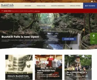 Visitbushkillfalls.com(Bushkill Falls) Screenshot