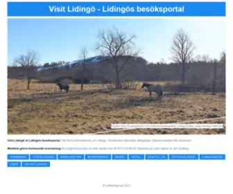 Visitlidingo.se(Visit Lidingö) Screenshot