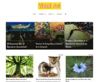 Visualavi.com(Visual Avi) Screenshot