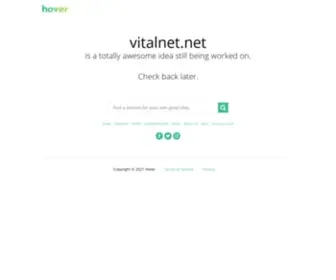 Vitalnet.net(Web site design hosting promotion) Screenshot