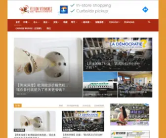 Vitaminbnews.com(比利时维他命文化传媒) Screenshot