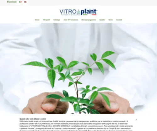 Vitroplant.it(Vitroplant) Screenshot