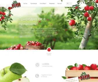 Viva.com.mk(вива) Screenshot