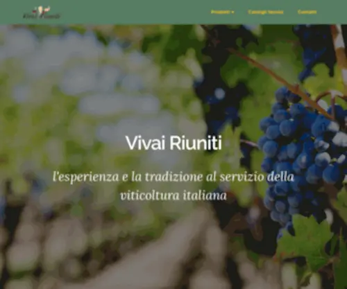 Vivairiuniti.it(Vivairiuniti) Screenshot