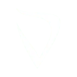 Vivediferente.mx Favicon