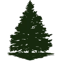 Viverolasnovedades.com.ar Favicon