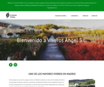 Viverosangel.es(Viveros Angel) Screenshot
