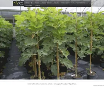 Viverosperez.com(En Viveros Pérez S.L) Screenshot