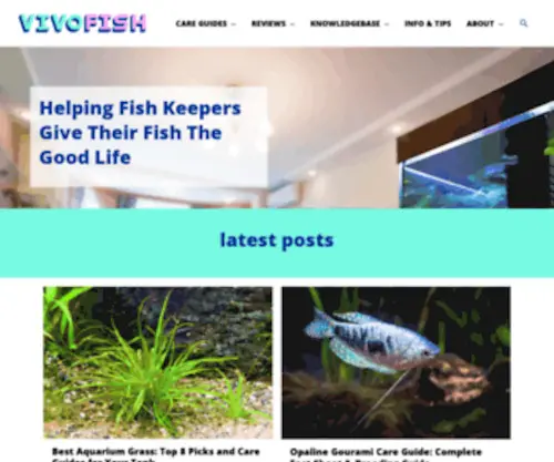 Vivofish.com(Expert Aquarium Advice and Pet Fish Care Guides) Screenshot