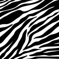 Vivozebra.hu Favicon