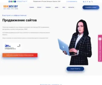 Vizit-Seo.ru(SEO специалист по продвижению сайтов) Screenshot