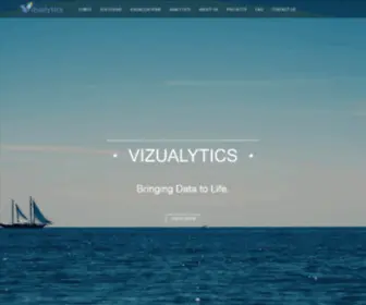 Vizualytics.com(Bringing Data to Life) Screenshot