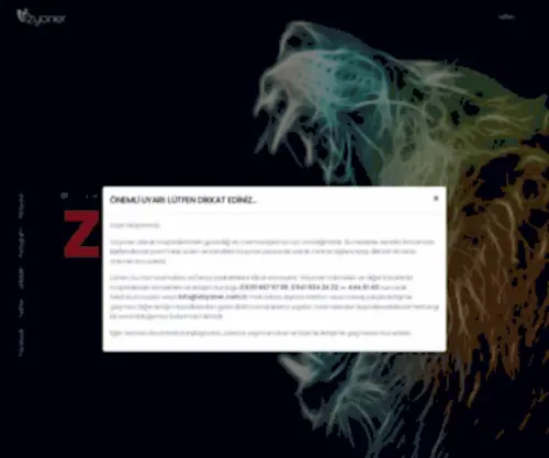Vizyoner.com.tr(Vizyoner Ajans Danışmanlık) Screenshot