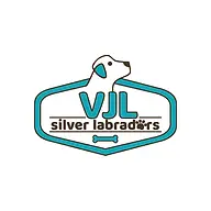 VJlsilverlabradors.com Favicon