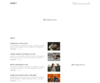 VKFKD.com(일상블로그) Screenshot