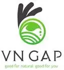 Vngap.com Favicon